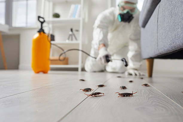 Post-Treatment Bed Bug Interceptor Monitoring in Wallenpaupack Lake Estates