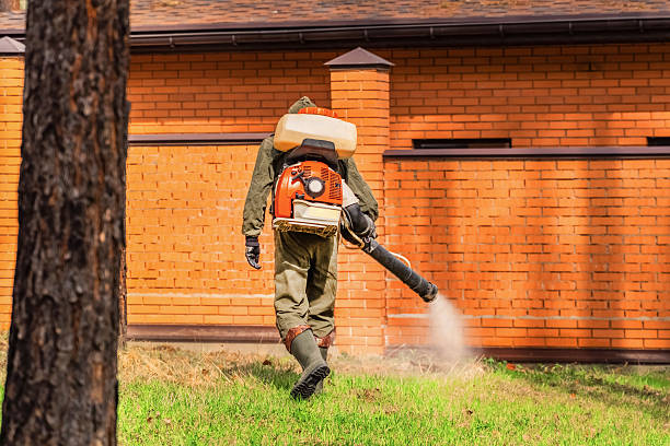 Bed Bug Clearance Verification and Documentation in Wallenpaupack Lake Estates